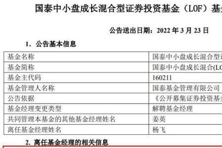 基金小盘成长什么意思