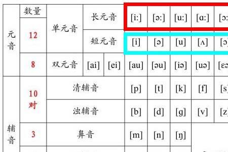 u长元音和u短元音组合