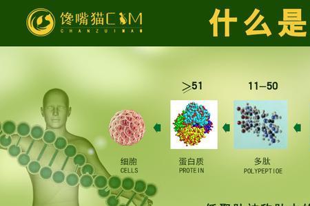 肽是哪个国家的人发明的