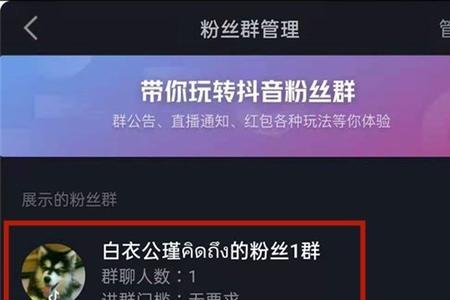 为什么进不去抖音群