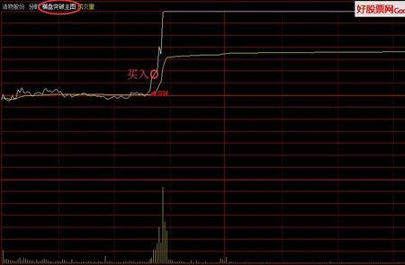 通达信分时托盘什么意思