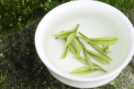 清明茶和明前茶有什么区别