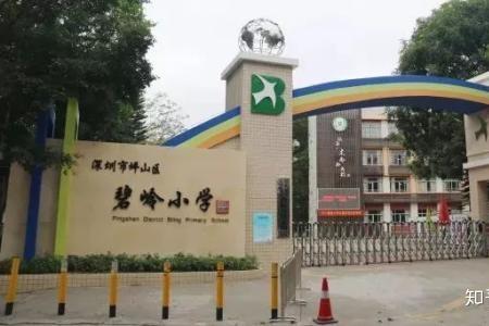 深圳坪山小学怎么样