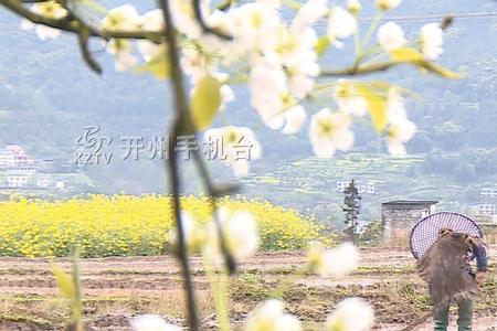 春雷阵阵夏雨雪出自哪