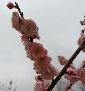 细雨霏霏的同义词