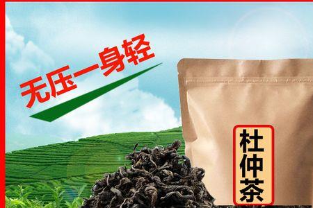 杜仲原叶茶属于什么茶