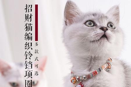 一岁多的公猫铃铛有多大