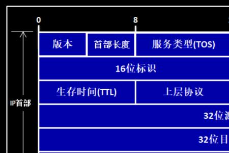 rgp网络术语什么意思