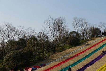 扬州花都汇生态公园要门票吗