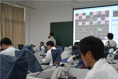 医学信息与工程好学吗