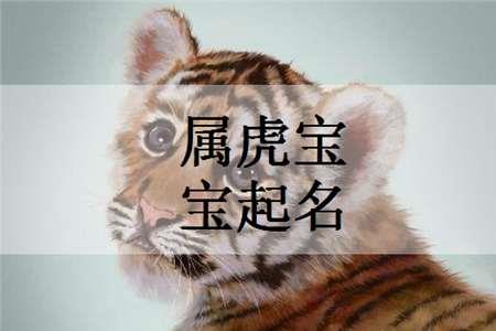 虎字旁的姓