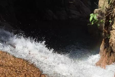 水至清则无鱼 起涟漪则有何