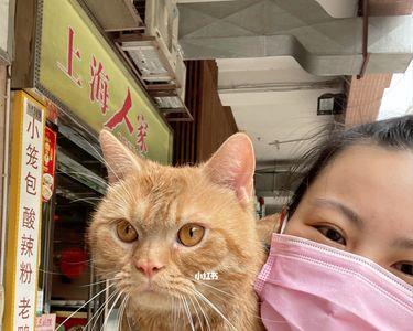 猫咪能喝香飘飘吗