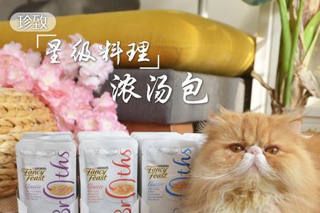 猫咪湿粮换品牌的正确方法