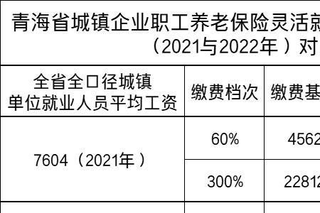 宁夏社保2022年灵活就业缴费标准