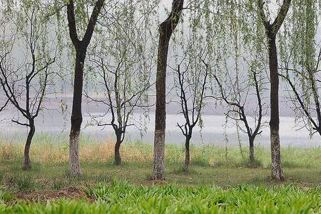 春雨的气候特点