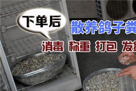 干的鸽子粪可以直接种菜吗