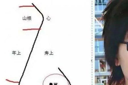 说女人脸大是什么意思