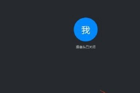 钉钉视频会议被移出是什么意思