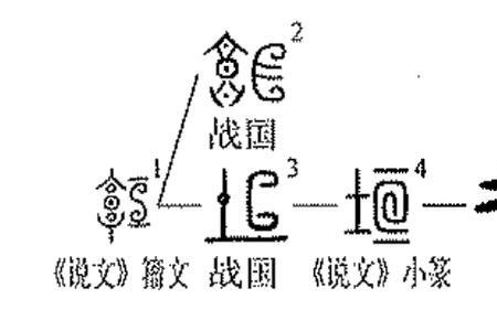 垣柏是什么意思