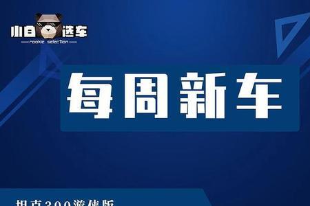 坦克300正时链条还是正时皮带