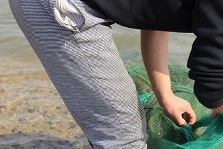 地笼捕海水螃蟹最佳诱饵