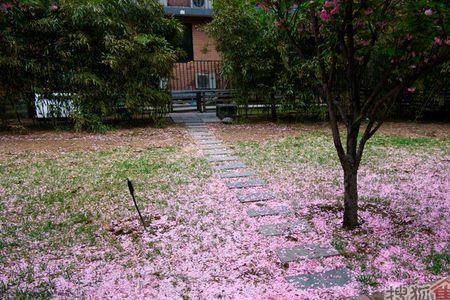 一季风雨意思