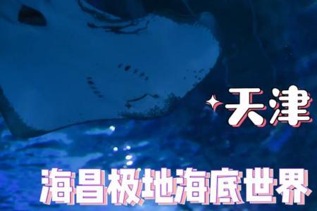 13岁去天津海昌海洋公园票价多少