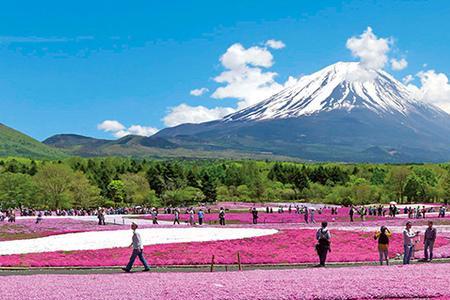 富士山下再无钟无艳是什么意思