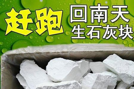 生石灰块和粉哪个更好