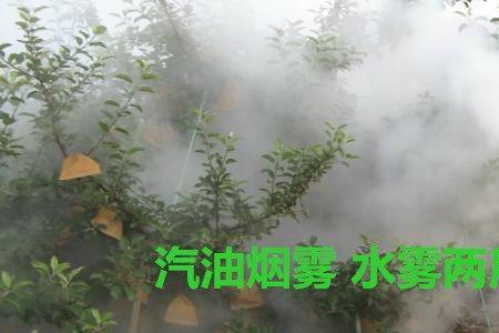 水雾烟雾两用机启动困难