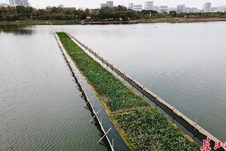 湿地缓冲区是什么意思