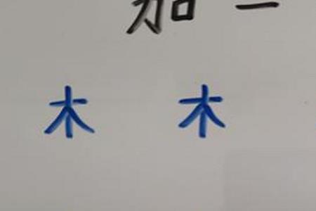 木字旁加一个不读什么字