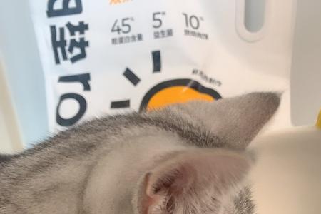 猫猫吃了猫粮还会吃饭吗