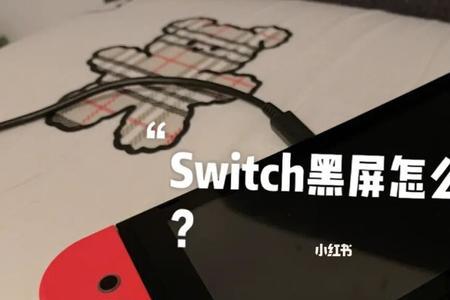 switch拔插内存卡之后无法开机了