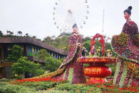 花的海洋什么意思