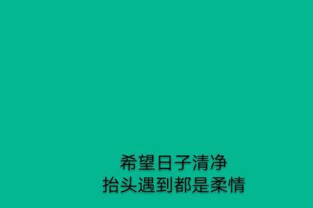 抬头已是半生什么意思