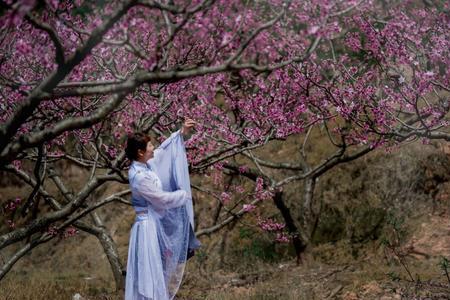 十里桃花十里香什么意思