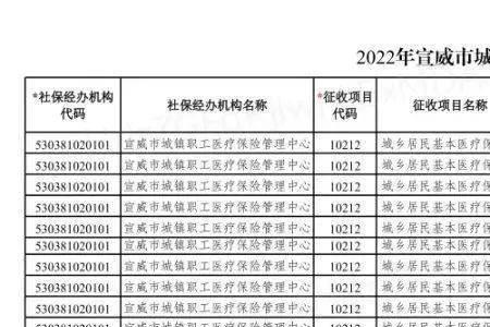 德宏州城乡居民医保怎么缴费