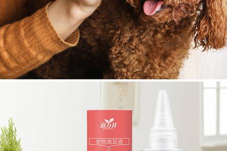 宠幸犬猫洗耳液每周几次