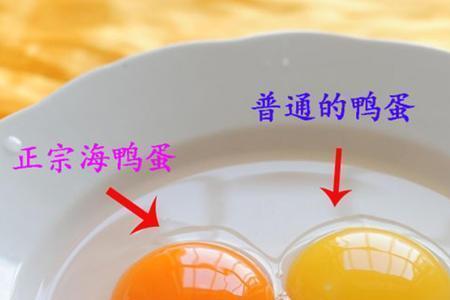 红头鸭是与普通鸭蛋一样吗