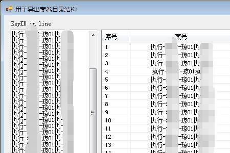 集约执行什么意思