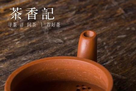 君德壶适合泡普洱茶吗