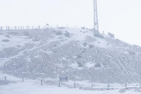 雪地有什么特点