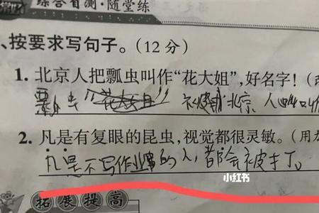 三年级的就像是又像是造句