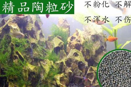 鱼缸铺底砂多大颗粒好