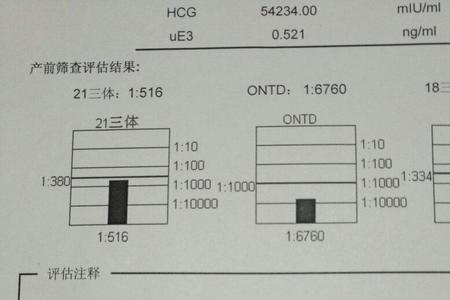 绝对风险什么意思