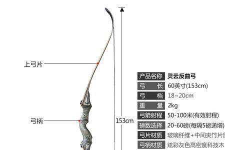 反曲弓要每天下弦吗