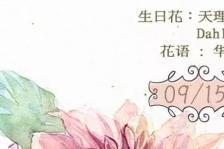 11月15日的生日花是什么