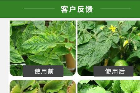 艾菲特杀菌剂使用方法